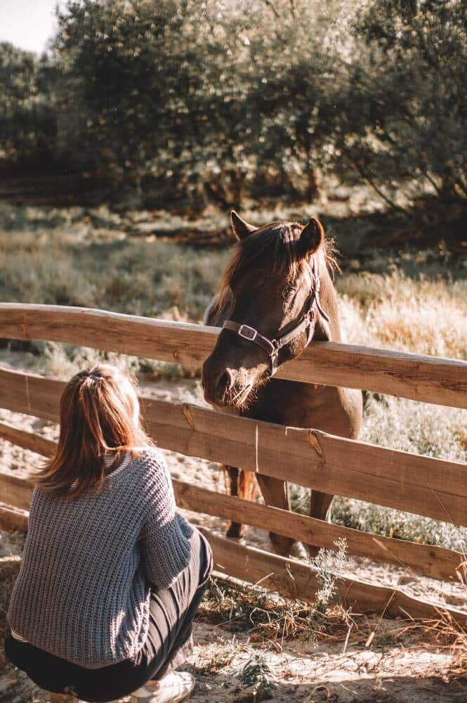 Centre equestre