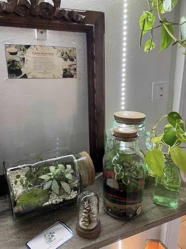 Atelier du Terrarium