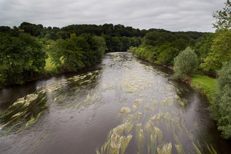 Balade en bord de Creuse - La Cresue à Saint Gaultier