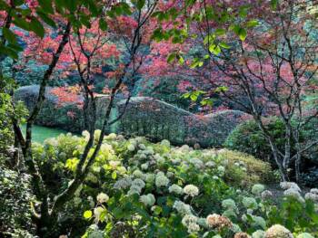 arboretum sedelle