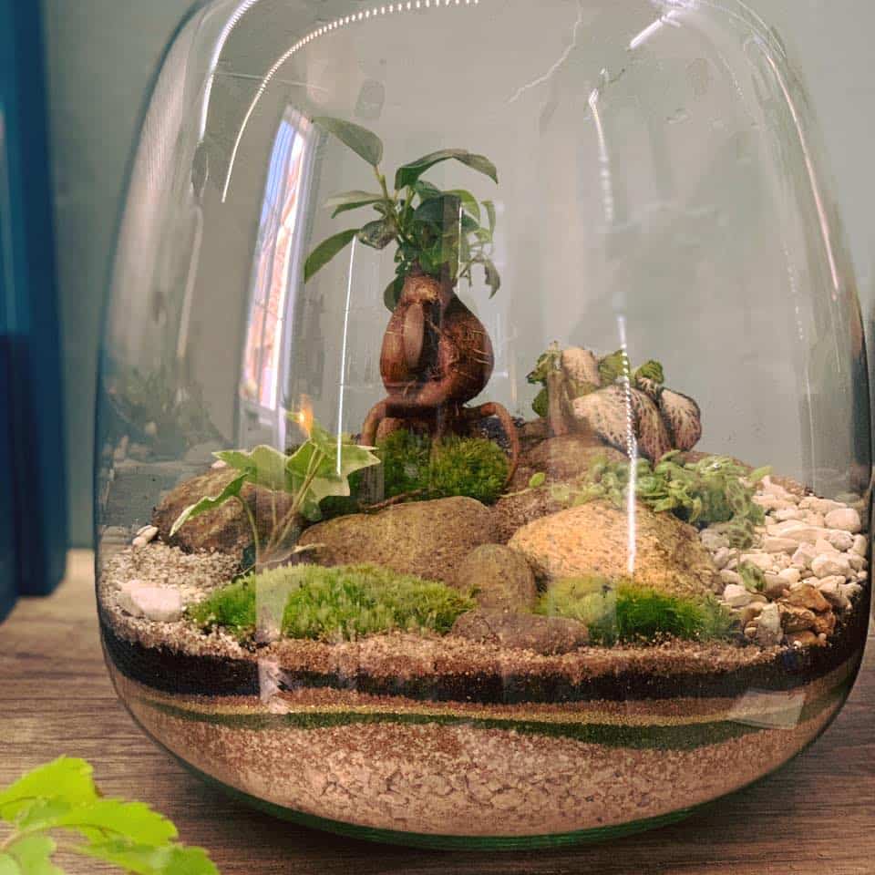 atelierduterrarium